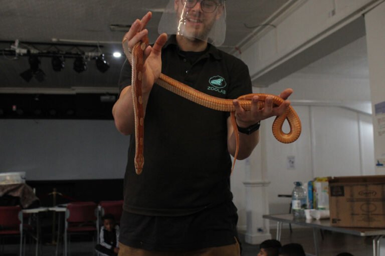 An animal educator showing children a snake during a supervised session