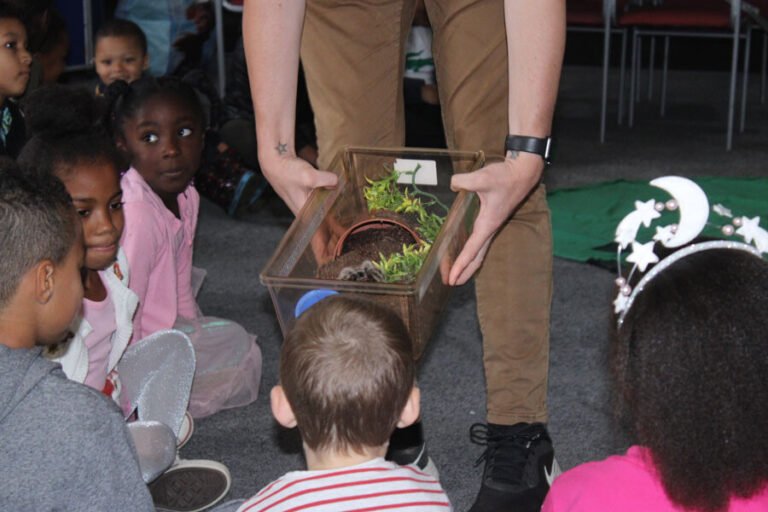 Children watching a supervised animal encounter at close range
