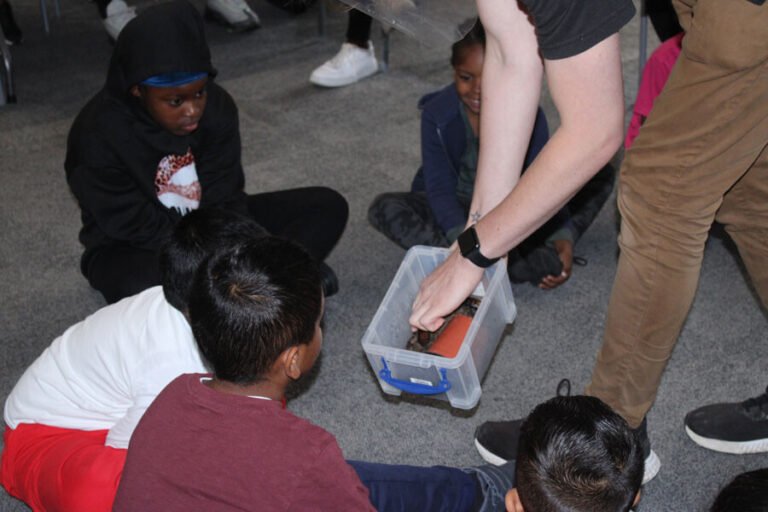Children taking part in a supervised hands-on animal activity